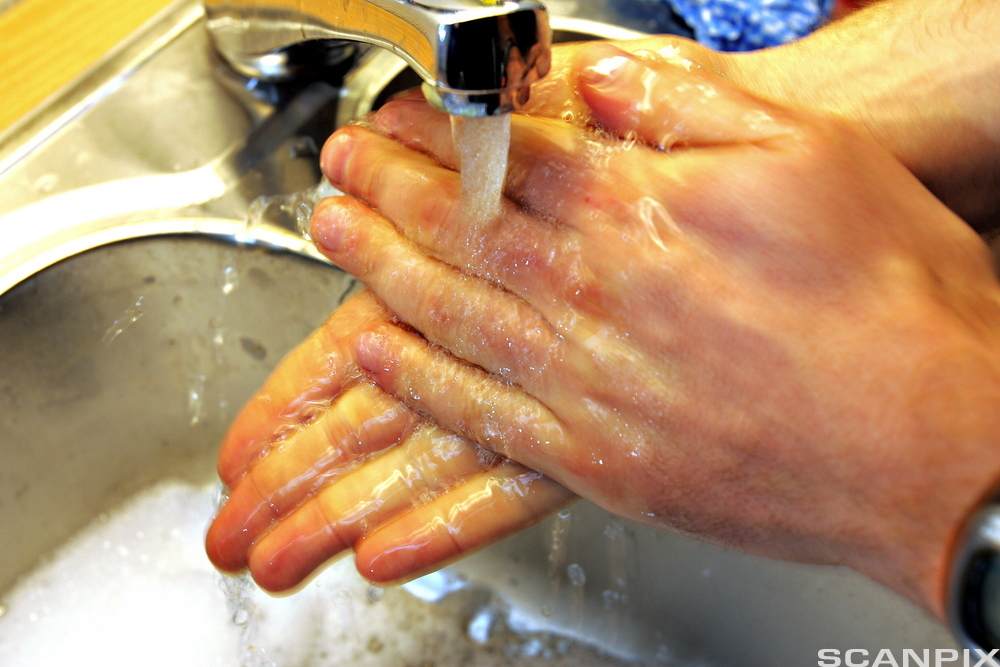 Et par hender under en rennende vask. Foto. 