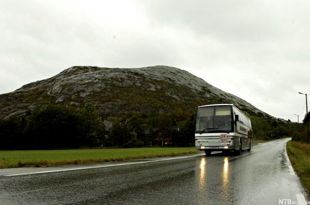 Skuvle-busse geajnosne. Guvvie.