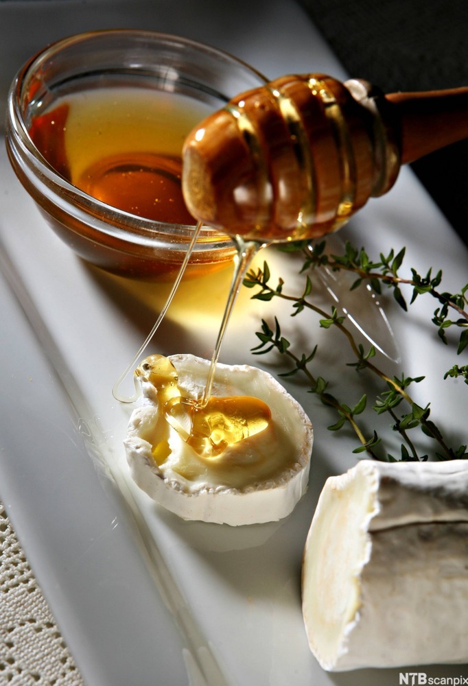Honning renn over ein bit chèvre. Foto.