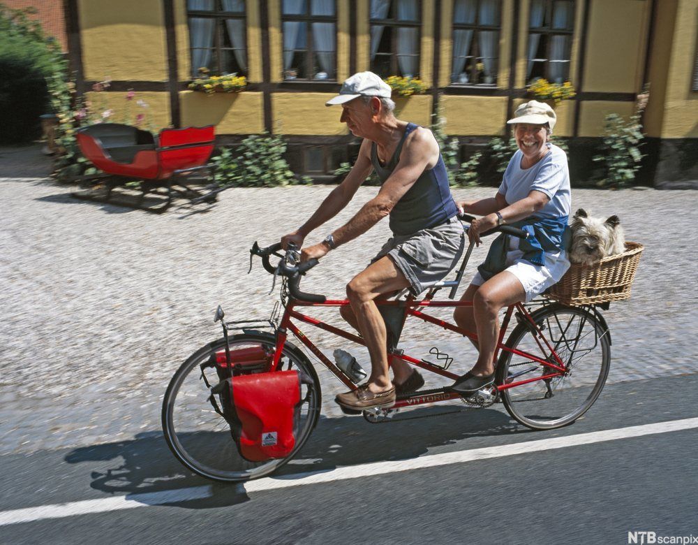 Eldre par på tandemsykkel. Foto. 