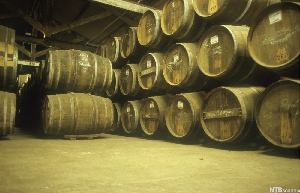 Tønner med konjakk på lager. Foto.
