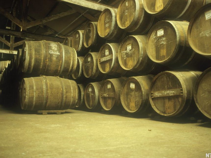 Tønner med konjakk på lager. Foto.