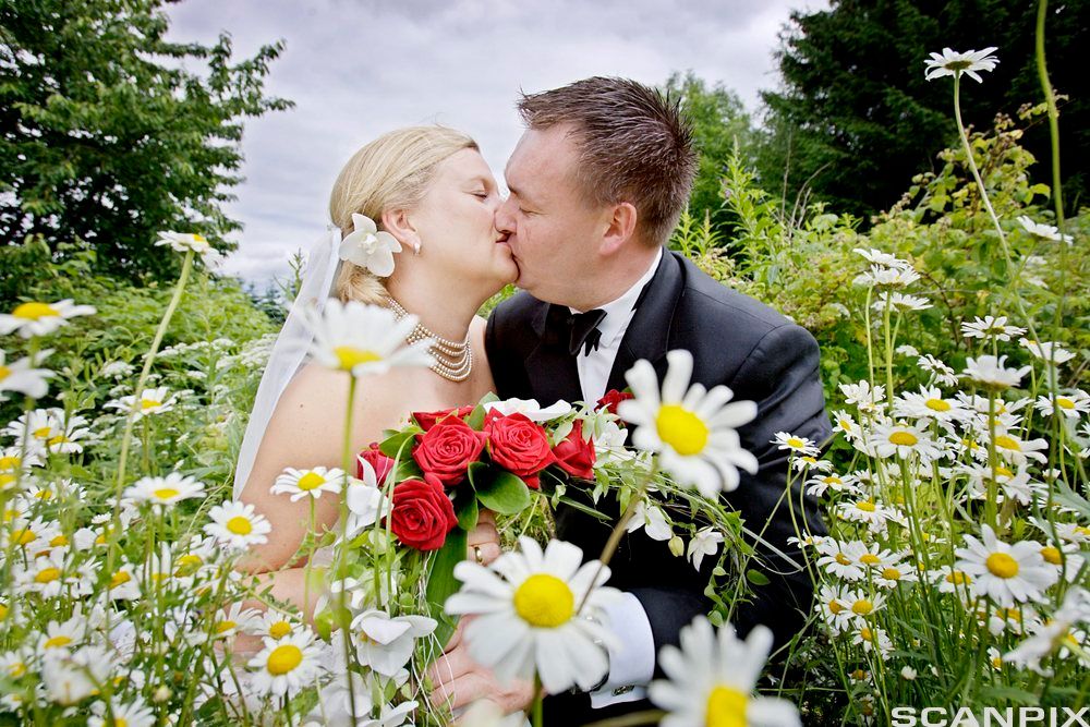 Brudepar kysser i blomstereng. Foto.