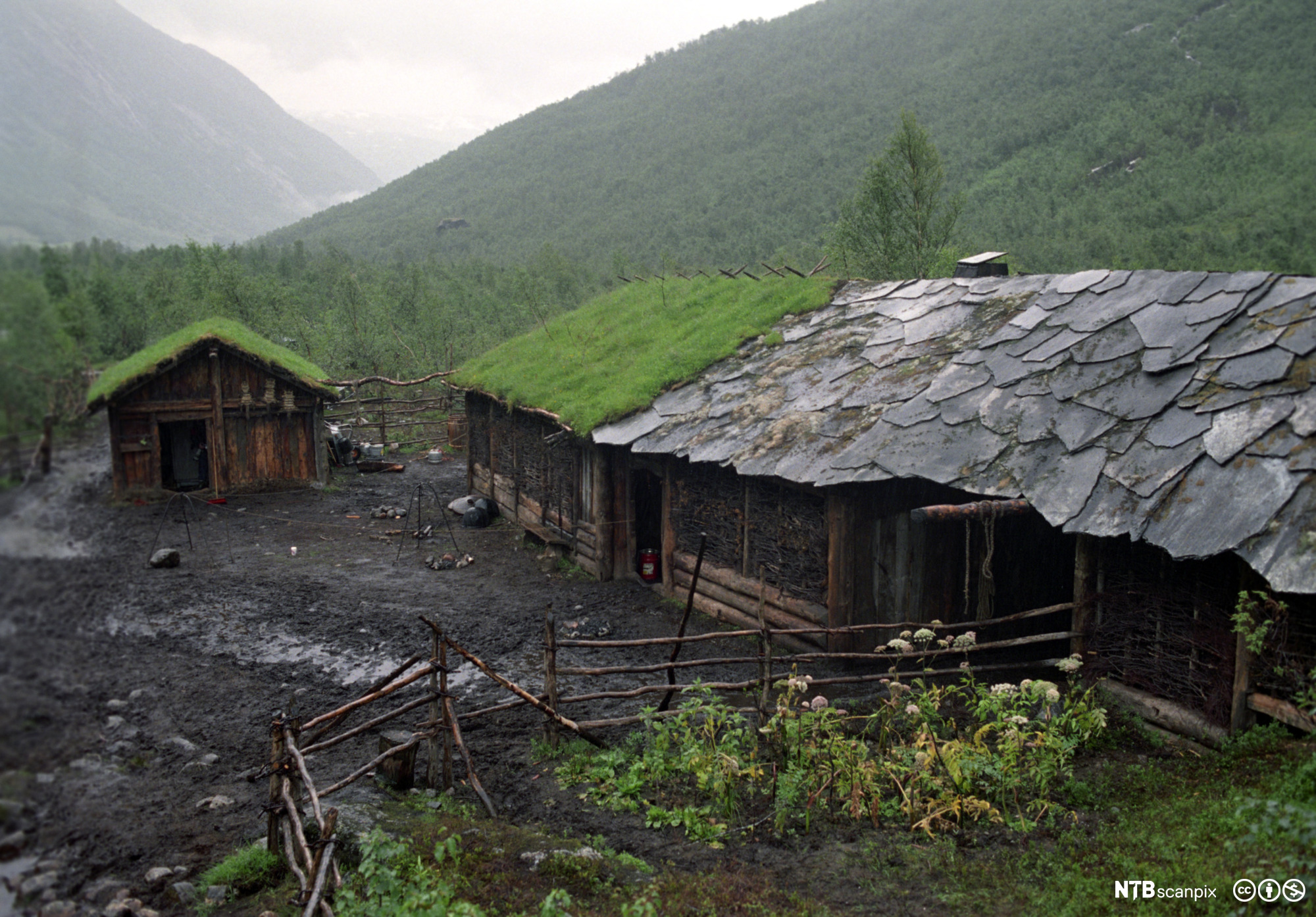 Gammelt gårdstun med skifer og gress på taket. Foto.