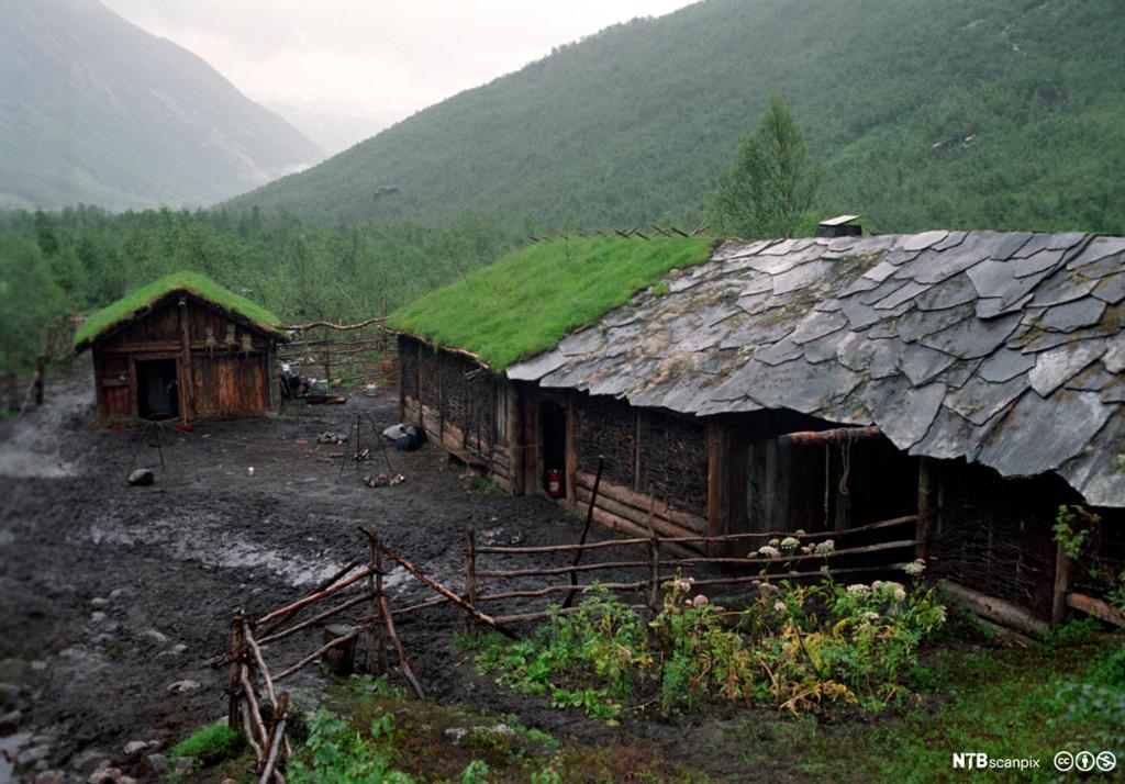 Gammelt gårdstunt med skifer og gress på taket. Foto.