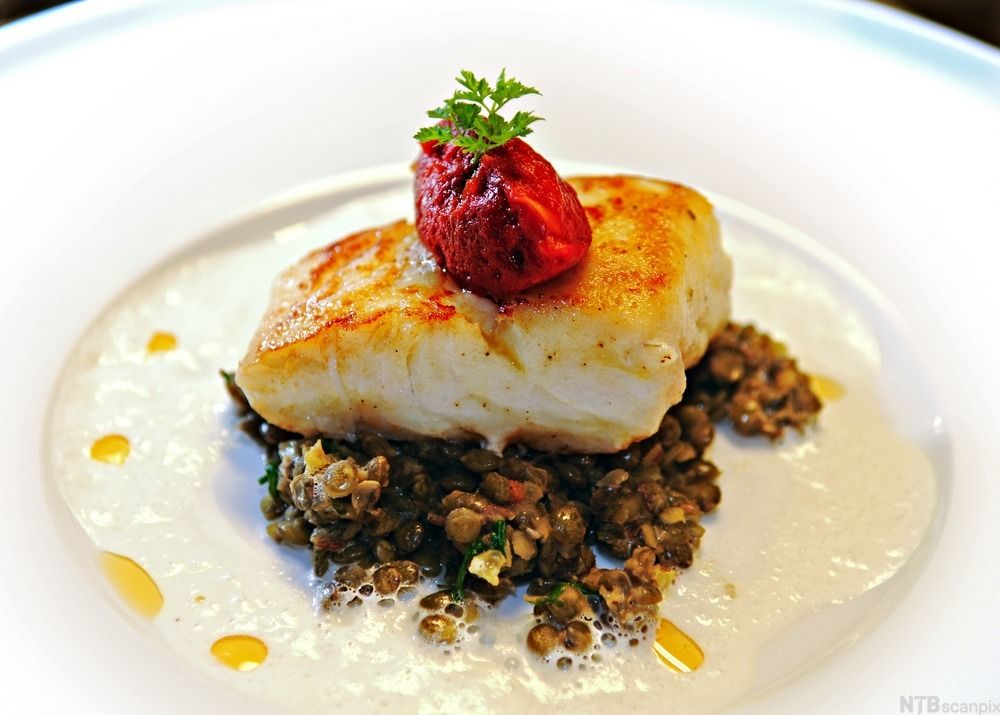 En tallerken med pannestekt torsk, linser og hvit saus. Foto.