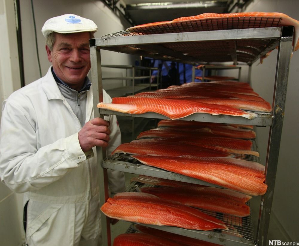 Fiskerinæringen leverer råvarer til fiskeindustrien