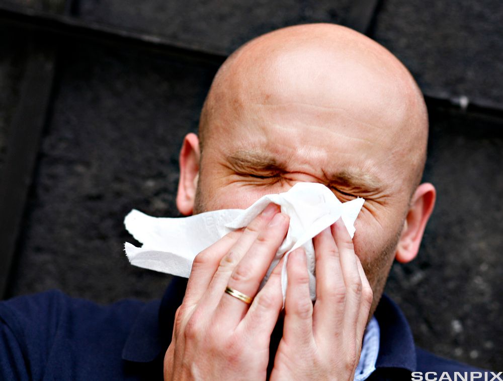 Mann holder for nese og munn med et papirtørkle. Han kniper øynene sammen. Foto.