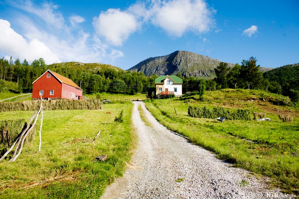 Liten bondegård med fjell i bakgrunnen, hesjer og eng i mellomgrunnen og grusvei i forgrunnen. Foto.