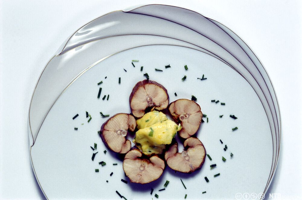 Røkt pigghå på tallerken. Foto.