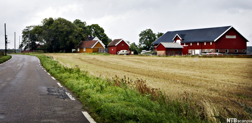 Bondegård med røde bygninger; en høsta åker i forgrunnen. Foto. 