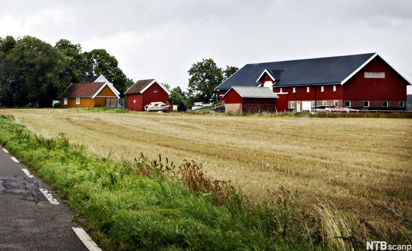 Bondegård med røde bygninger; en høsta åker i forgrunnen. Foto.