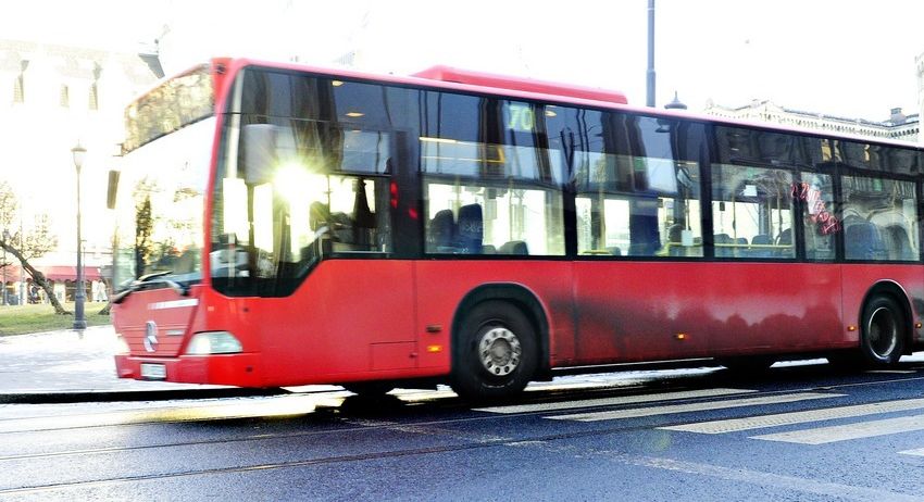 Ein raud buss. Foto.