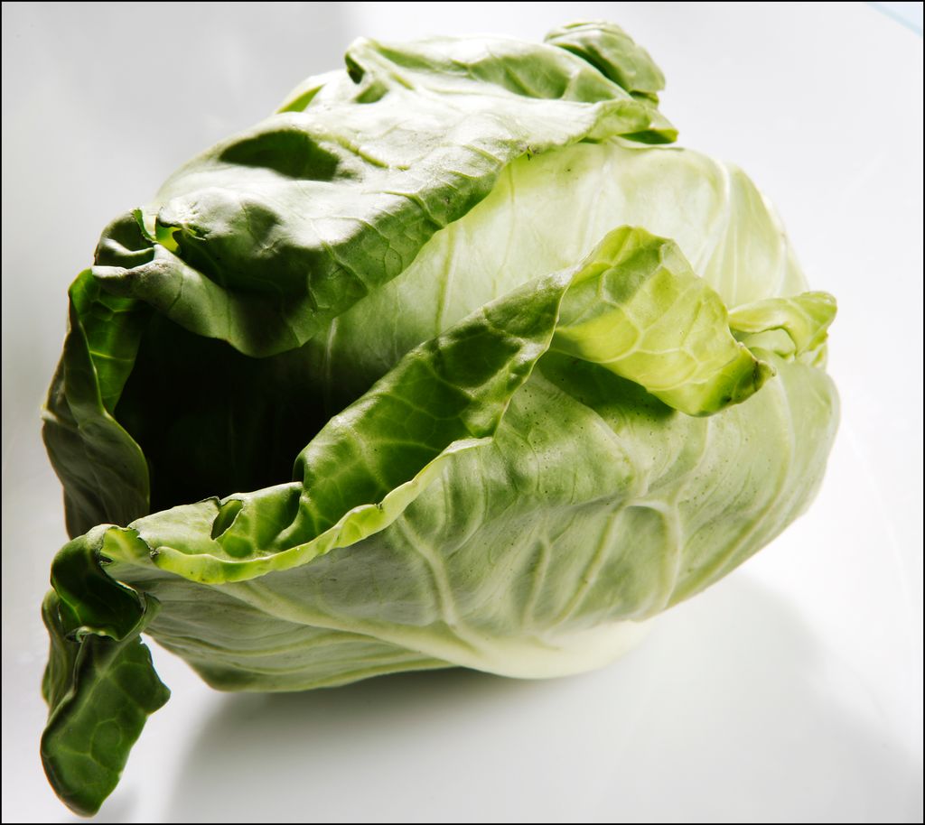 Grønn kål med løse blader. Foto.