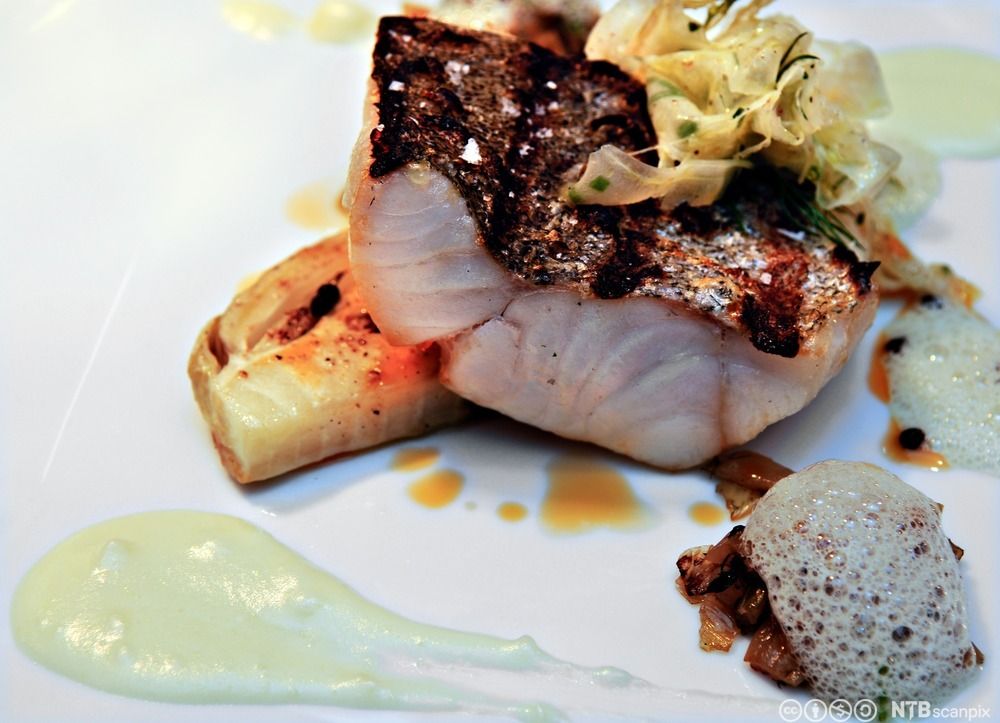 Grillet lyr med tilbehør. Foto.