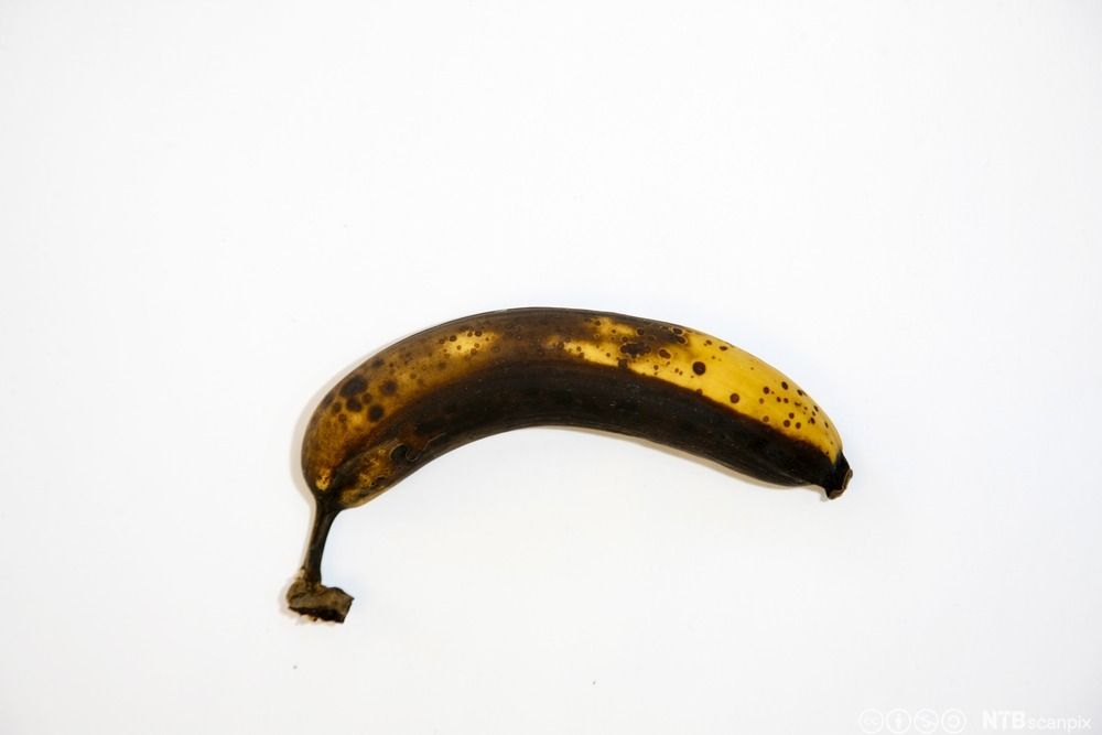 Foto av en overmoden banan.