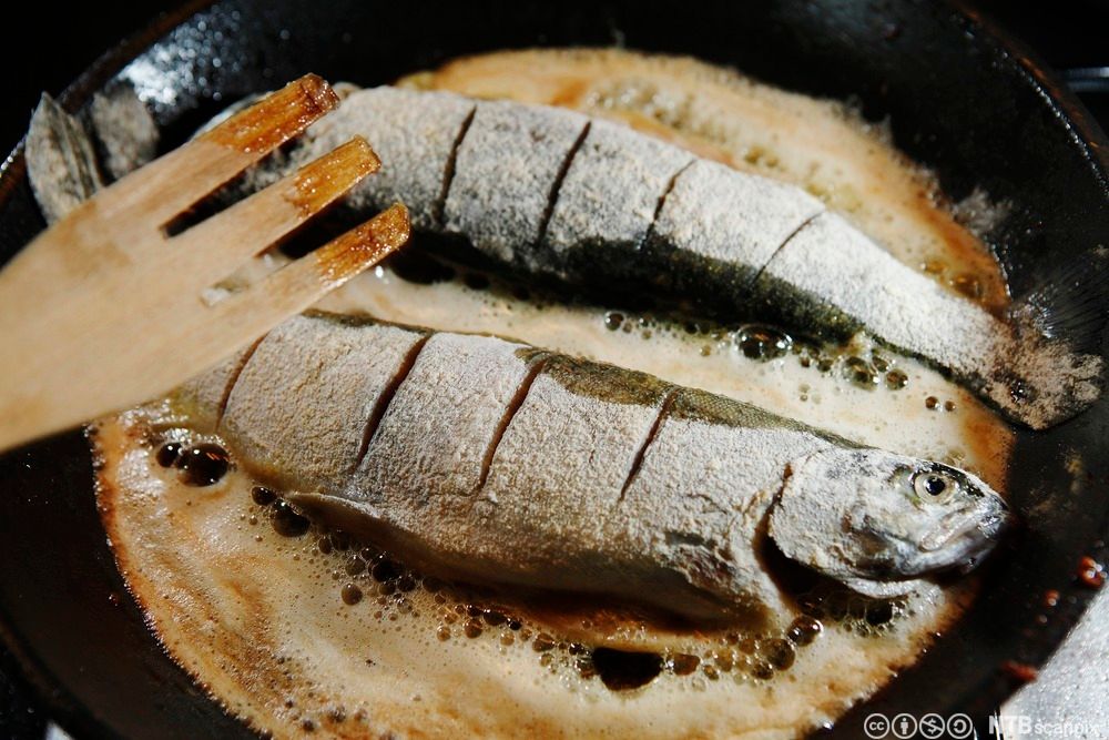 To ørret stekes i panne. Foto.