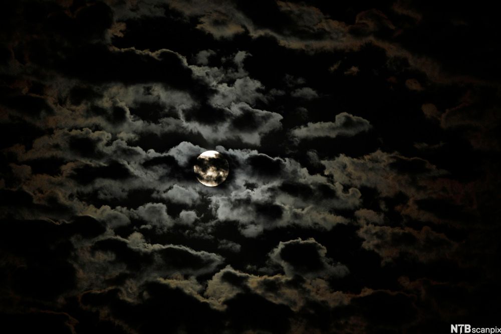 Nattehimmel med skyer og månelys. Foto.