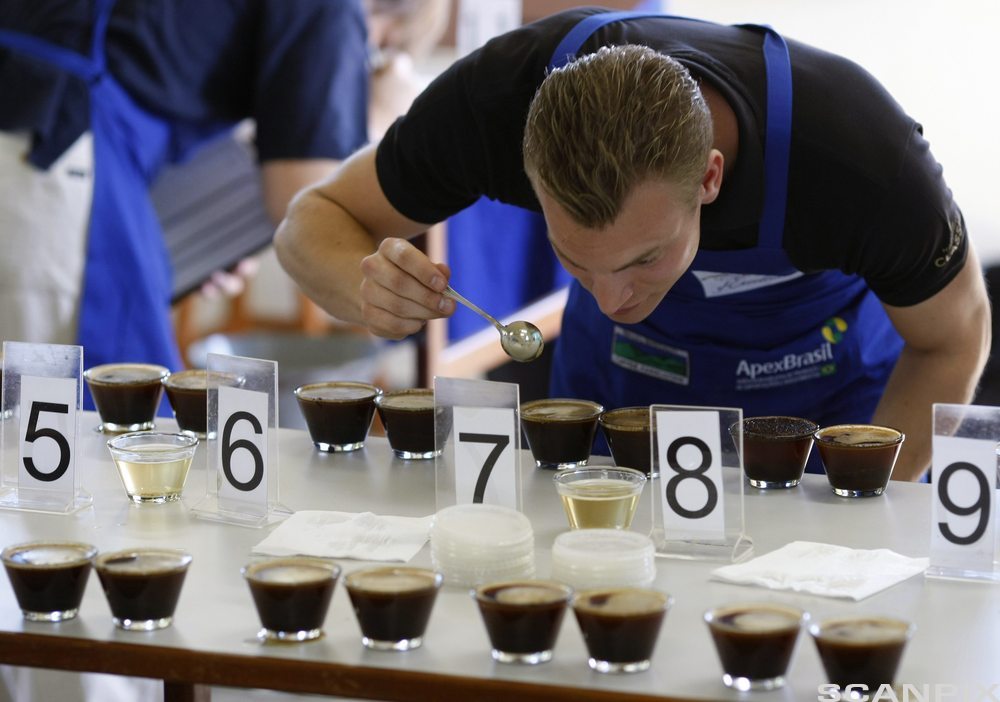 En mann står ved et bord og bedømmer ulike sorter kaffe som er nummerert. Foto.