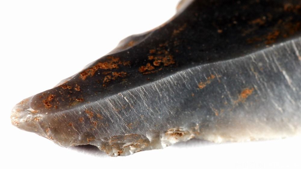 Arkeologisk funn av 8400 år gammelt redskap fra steinalderen. Foto.