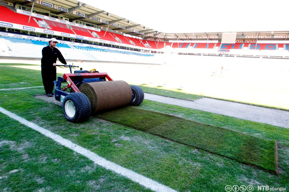 Anleggsgartnar legg ny grasmatte. Foto.