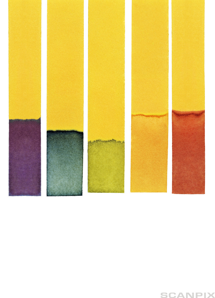 Fem gule papirremser med ulike farger på nederste del. Fra venstre mot høyre er det lilla, mørkegrønn, lysegrønn, oransje og rød. Foto.