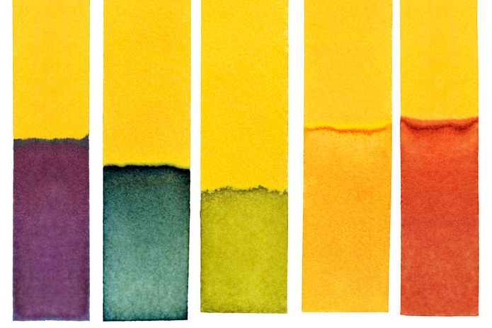 Fem gule papirremser med ulike farger på nederste del. Fra venstre mot høyre er det lilla, mørkegrønn, lysegrønn, oransje og rød. Foto.