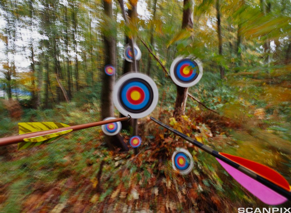 Piler på vei mot målskiver. Foto.
