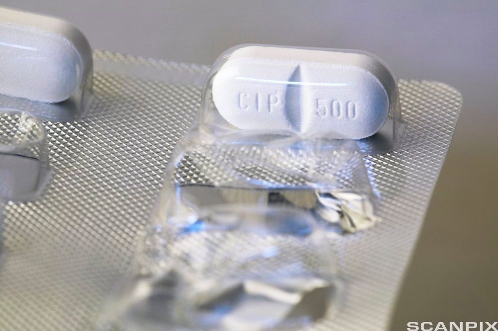 Et pillebrett med en innpakket pille. Foto. 