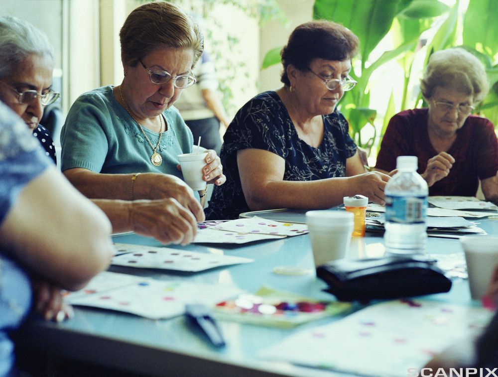 Eldre damer spiller bingo. Foto.