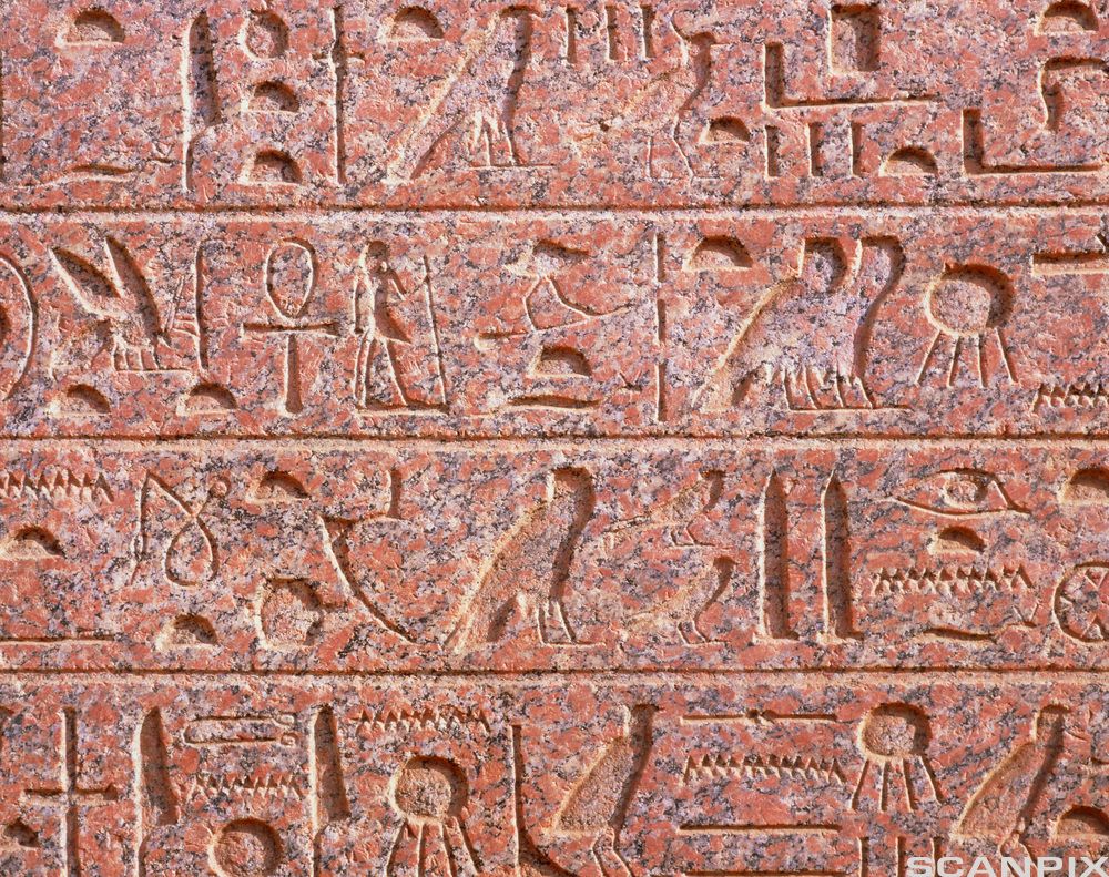 Utsnitt som viser fire partier med hieroglyfer hugget i stein. Alle mennesker og dyr ser mot høyre. Foto.