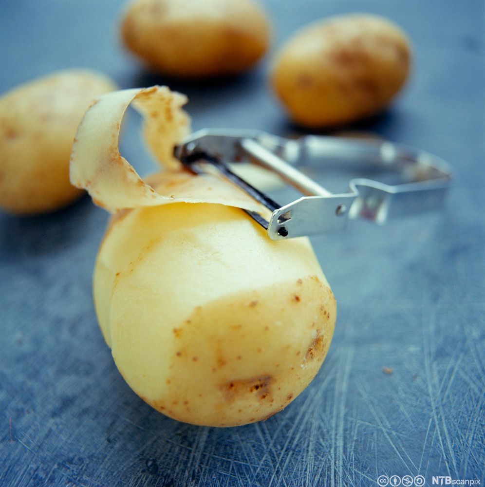 Nærbilde av en halvskrelt potet og potetskreller. Foto.