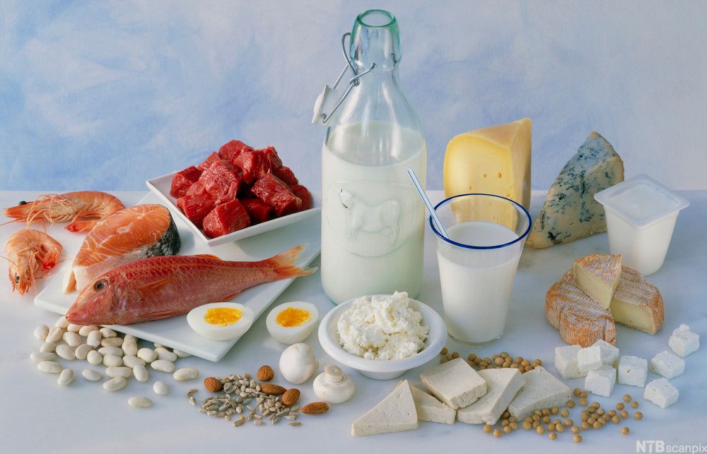 Ulike matvarer med høyt proteininnhold på et bord. Fisk, skalldyr, kjøtt, mandler, solsikkefrø, meieriprodukter, sopp, belgfrukter og egg. Foto.