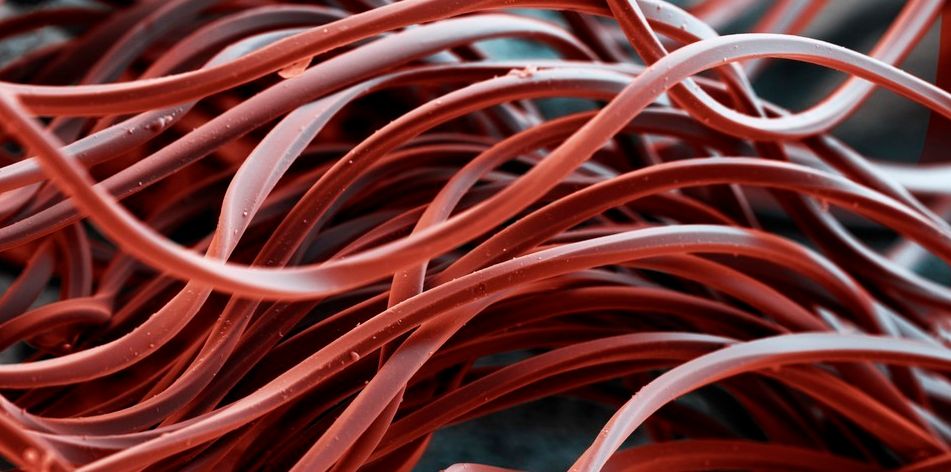 Mikroskopbilde av polyesterfiber. Foto.