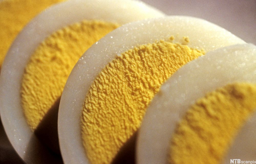 Oppdelte hardkokte egg. Foto.