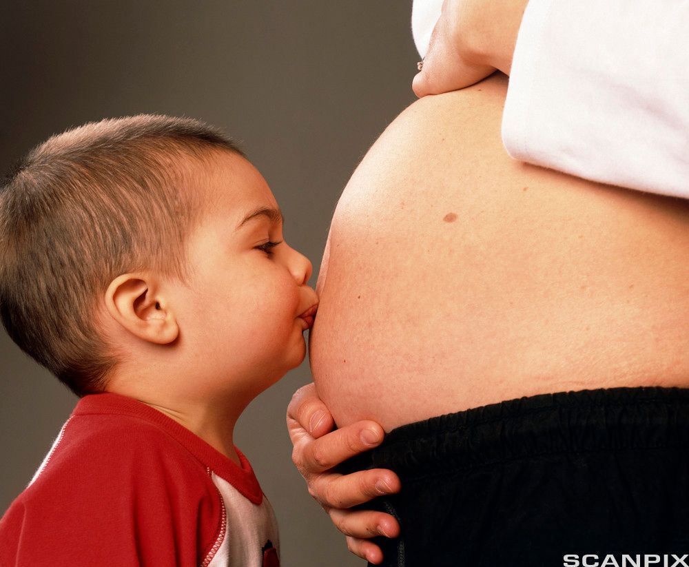 Gutt som skal bli storebror, kysser mammas mage. Foto.