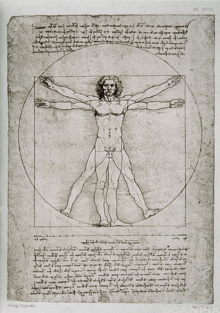 Menneskekroppen - Leonardo da Vinci