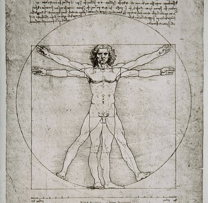 Proporsjonsstudie av en naken mannskropp plassert inn i et kvadrat og en sirkel. Illustrasjon.