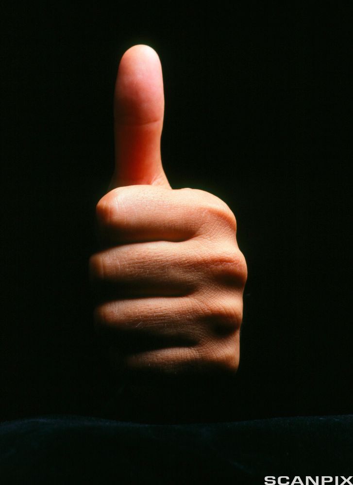 Knyttneve med tommelen opp. Foto.