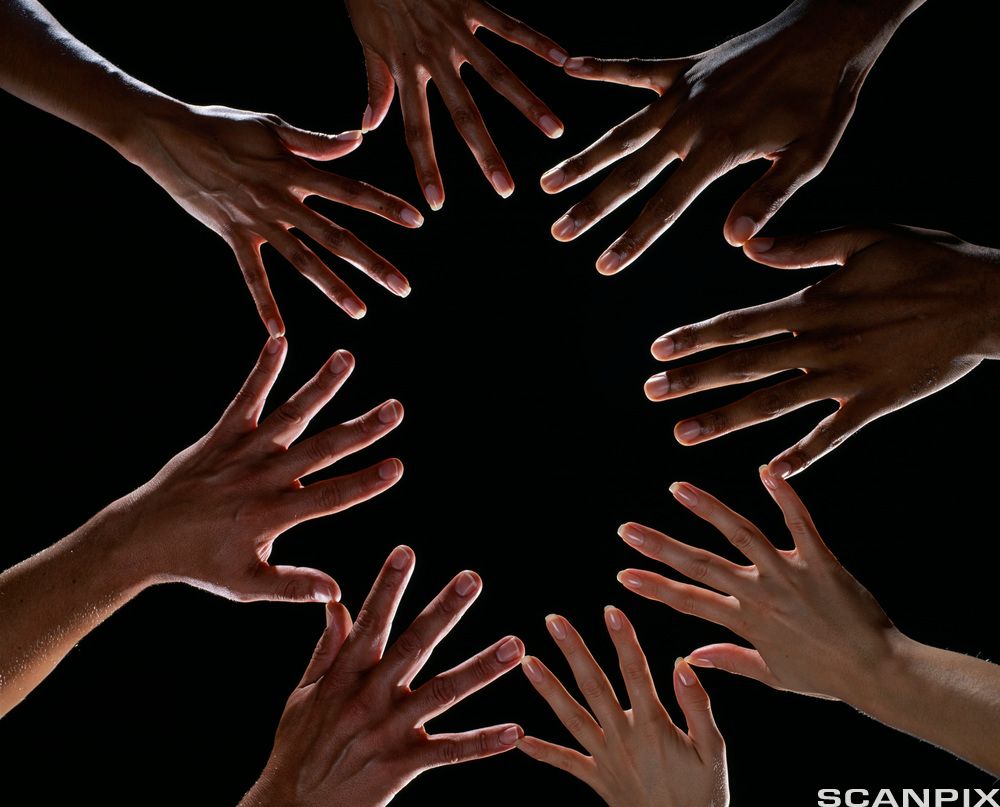 Four pair of hands with different skin complexion. Photo.