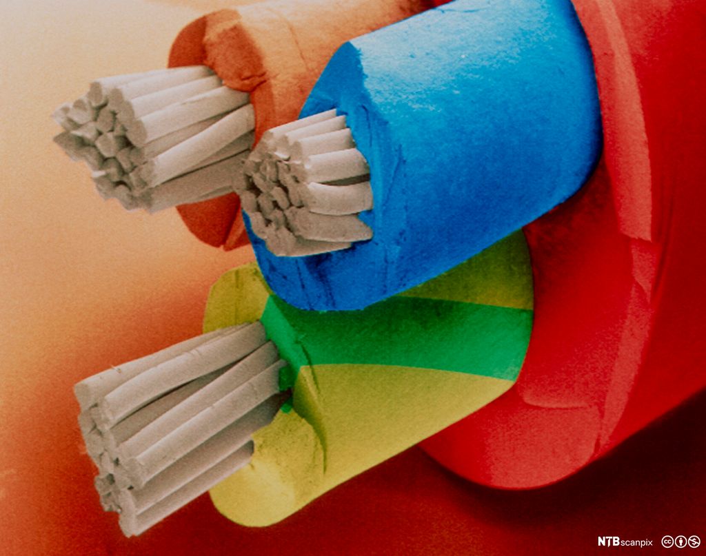 PFXP-kabel som viser forholdet mellom leiande og isolerande materiale. Foto.