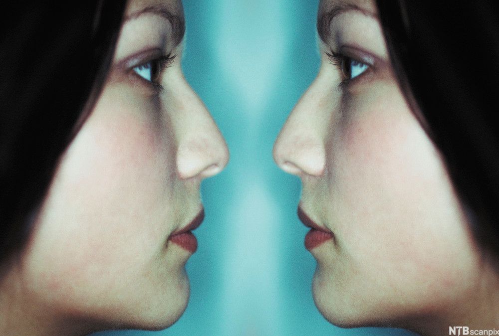 Jumežat, ámadajut oktii. Govva.