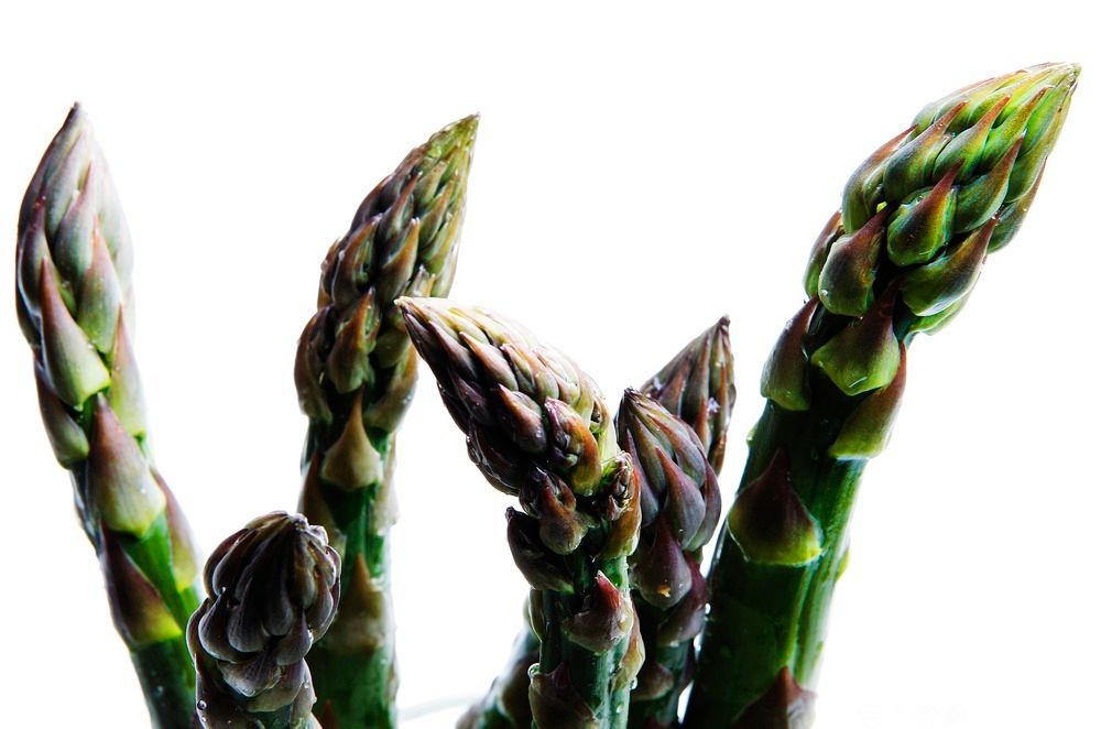 Nærbilde av sju grønne aspargesskudd mot hvit bakgrunn. Foto.