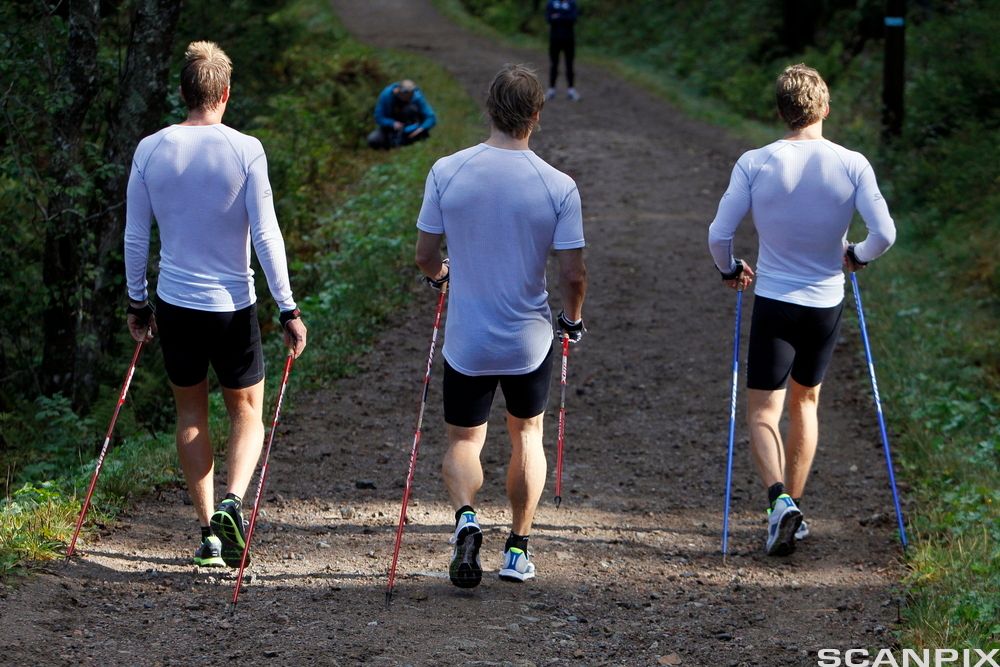 Tre personar i treningsutstyr og stavar går ned ein bratt grusveg. Foto.