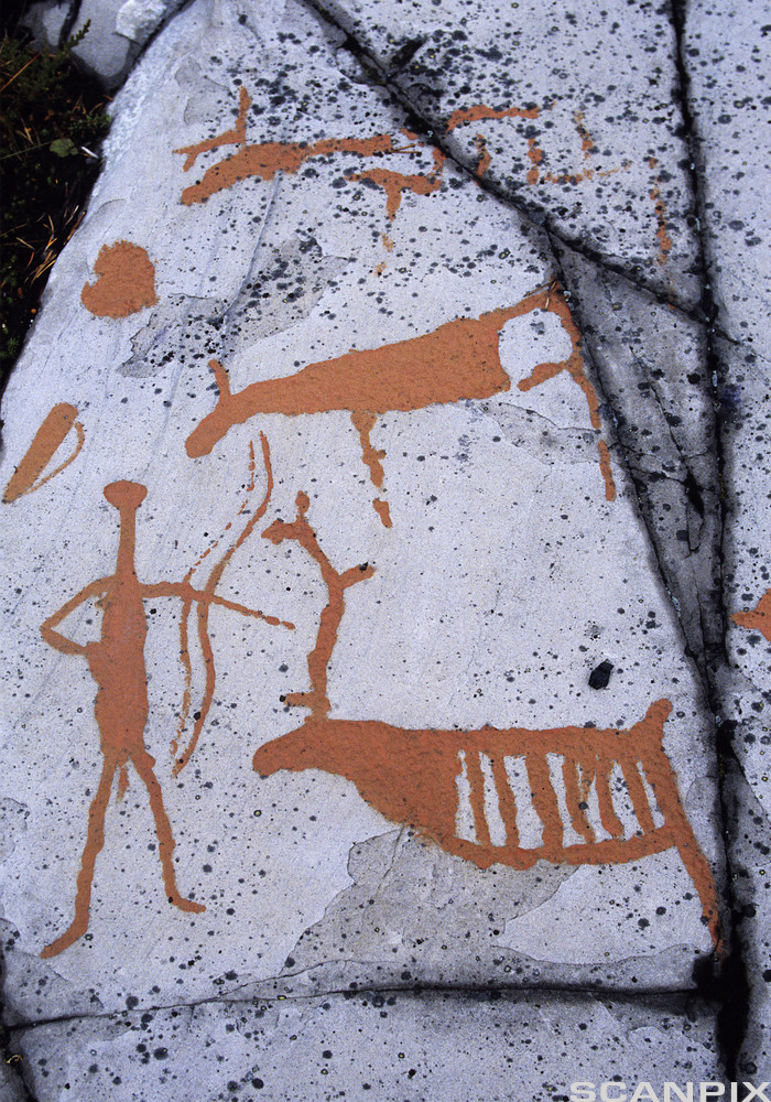 Bilde av helleristninger av reinsdyr. Foto.