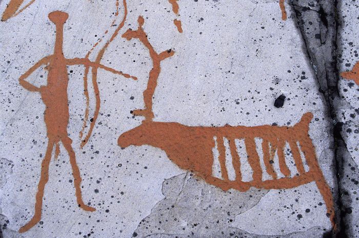 Bilde av helleristninger av reinsdyr. Foto.