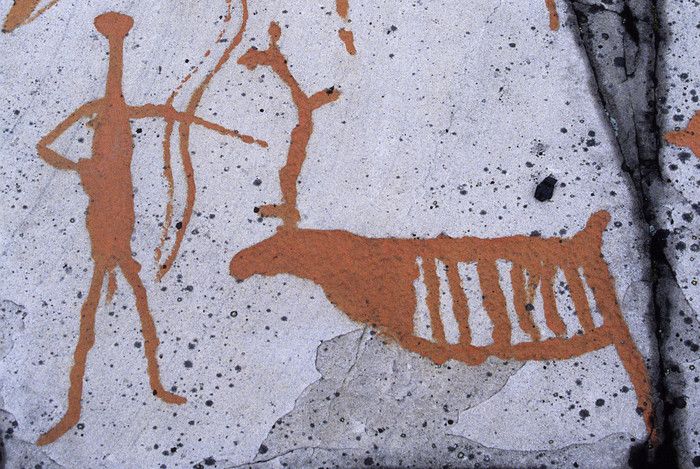 Bilete av helleristningar av reinsdyr. Foto.