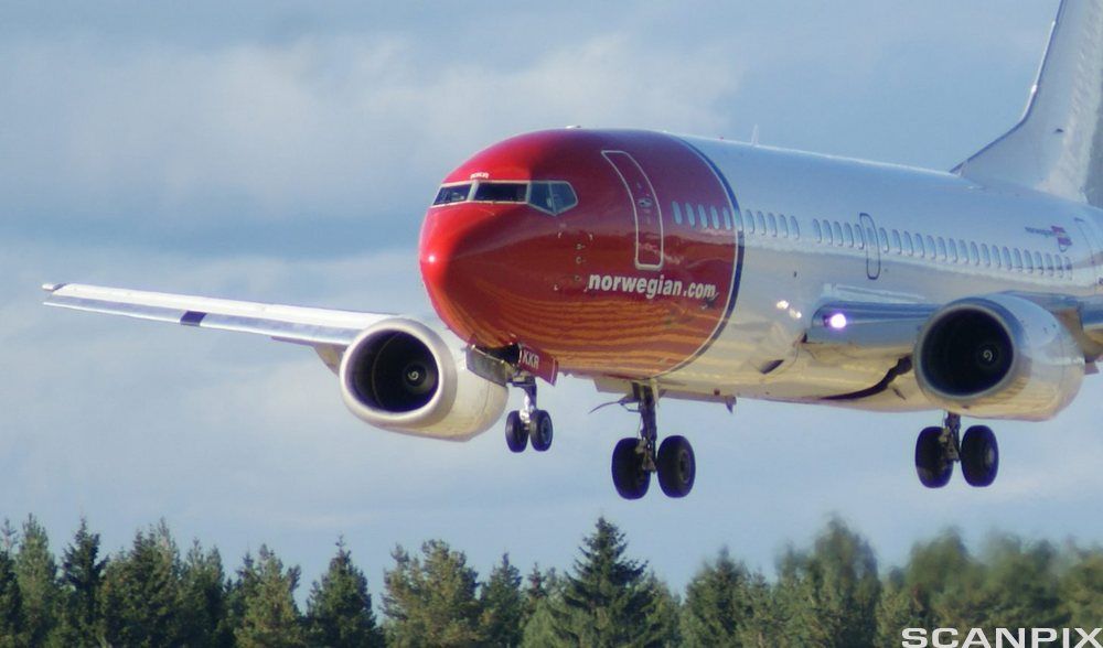 Norwegian-fly i luften, rett over tretopper.foto.