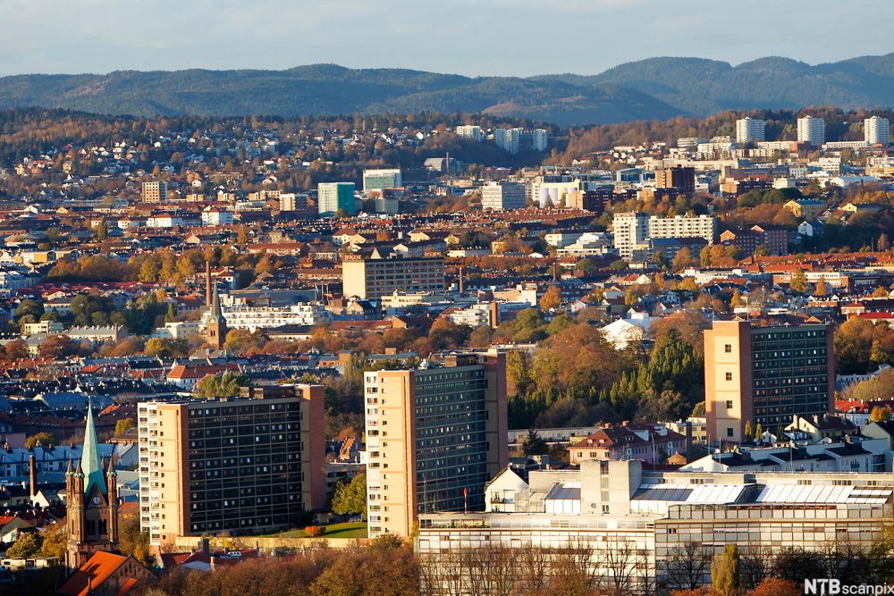 Utsikt over en by. Illustrasjon. 