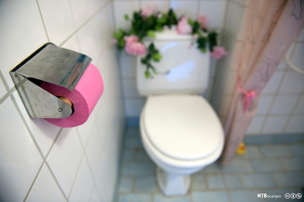 Hvitt toalett mot hvit vegg, og dorullholder montert ved siden av toalettet. Oppå toalettsisternen ligger det kunstige rosegreiner med rosa roser, og toalettpapiret er også kraftig rosa. Foto.